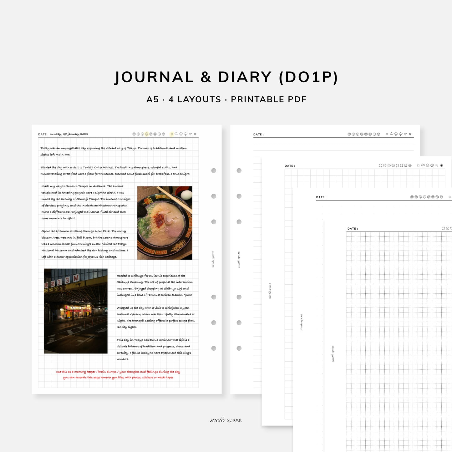 008 Journal and Diary DO1P